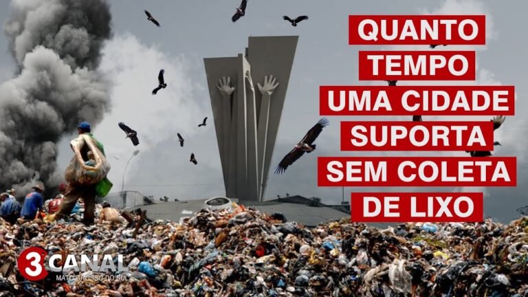 O QUE ACONTECERIA SE PARASSE A COLETA?