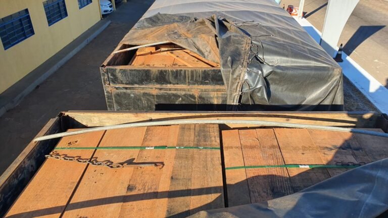 Polícia Militar Ambiental de Bataguassu autua empresa em R$ 10,2 mil por transporte de  madeira ilegal