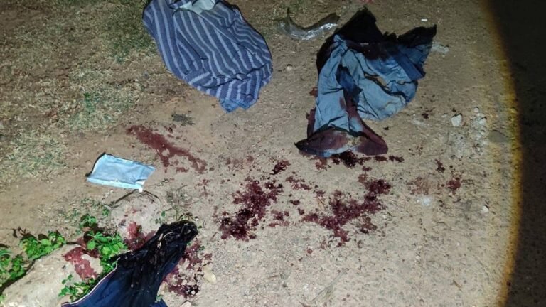 Polícia Civil prende jovem e apreende adolescente suspeitas de assassinarem homem de 59 anos