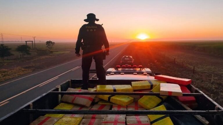 Apreensões de drogas no MS aumentam 96% no primeiro quadrimestre do ano