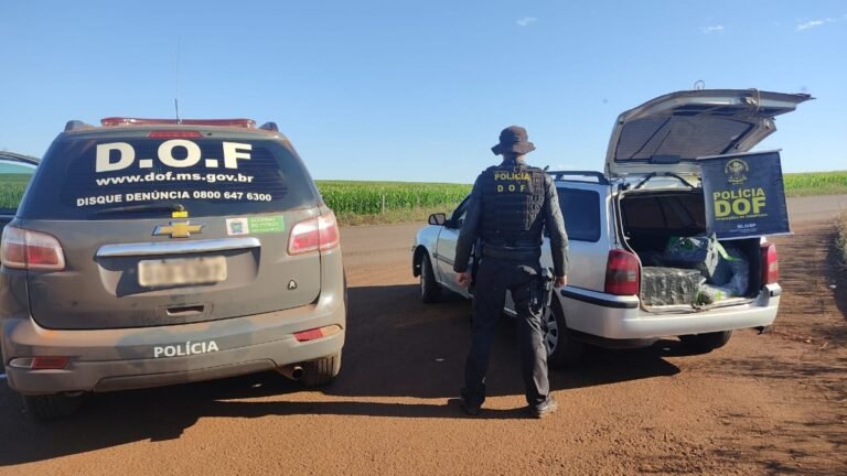 DOF apreende Veículo com mais de 300 quilos de maconha foi em MS