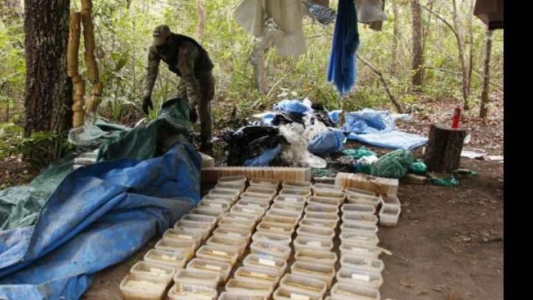 Policiais encontra grande laboratório de drogas na fronteira