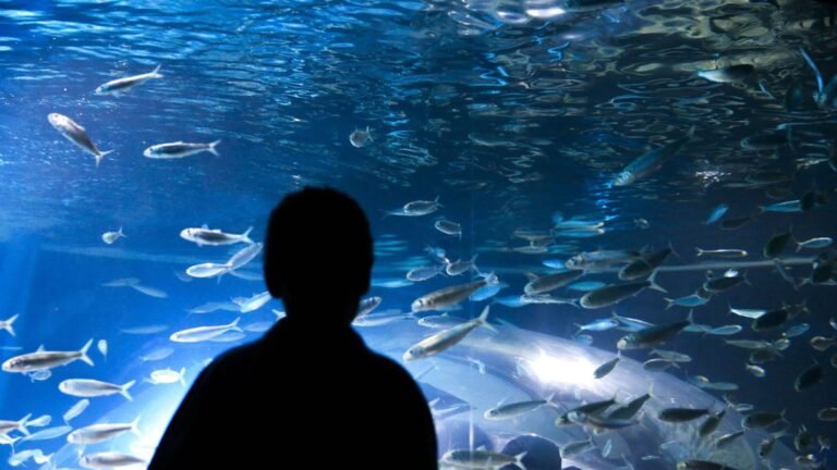 Em crianças, covid-19 pode apresentar sintomas diferentes, diz USP