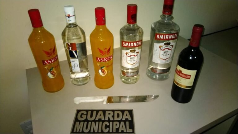 Em ação conjunta PC e GM recuperam produtos furtados