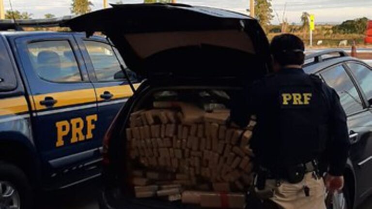 PRF apreende 925 Kg de maconha e 13,5 de skunk em Bataguassu (MS)