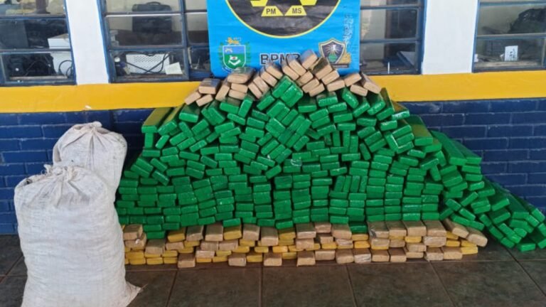 Polícia Militar Rodoviária apreende 365 quilos de maconha