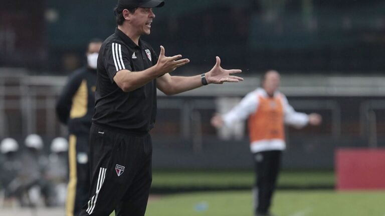 Novo técnico do Santos, Diniz estreará contra Boca Juniors na terça