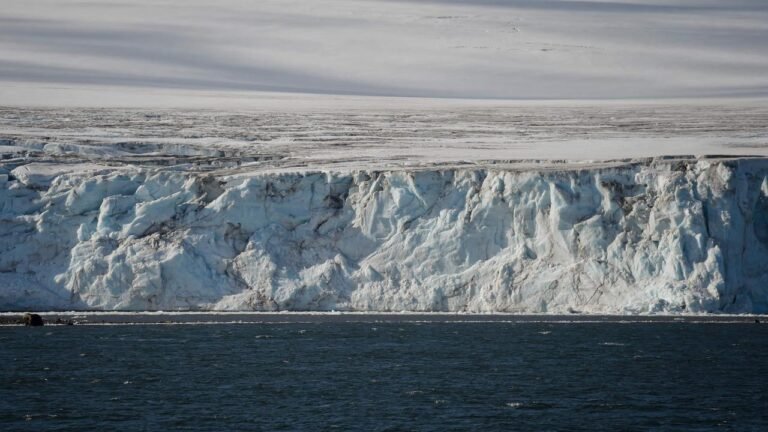 A-76, maior iceberg do mundo, se desprende na Antártida