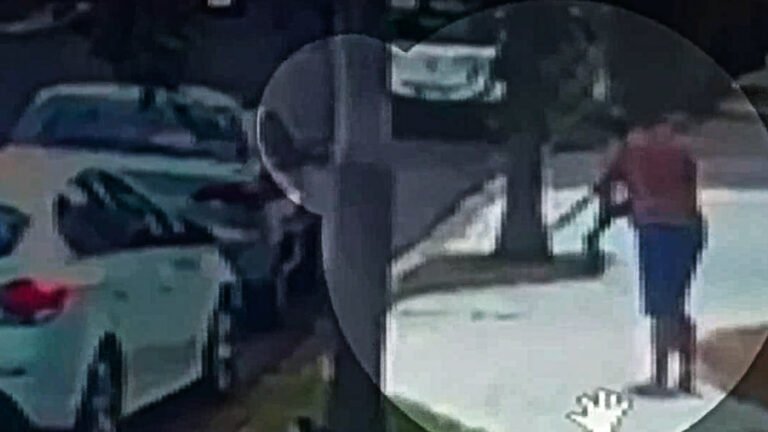 VEJA VÍDEO – Câmera de segurança flagra homem disparando contra cachorro em Maringá