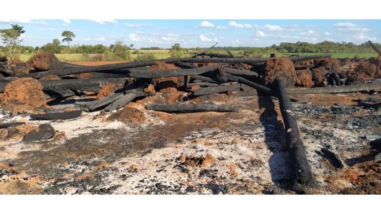 Polícia Militar Ambiental de Dourados autua infrator em R$ 15 mil por incêndio