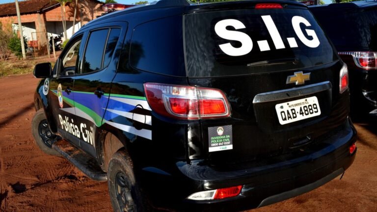 Vila São Francisco – Polícia Civil prende em flagrante autor de furto a comércio de Dourados