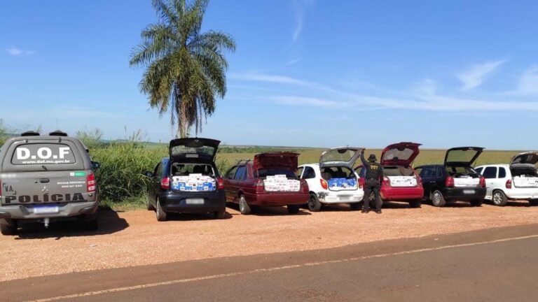 VEJA VÍDEO – Seis veículos  com mercadorias ilegais foram apreendidos pelo DOF