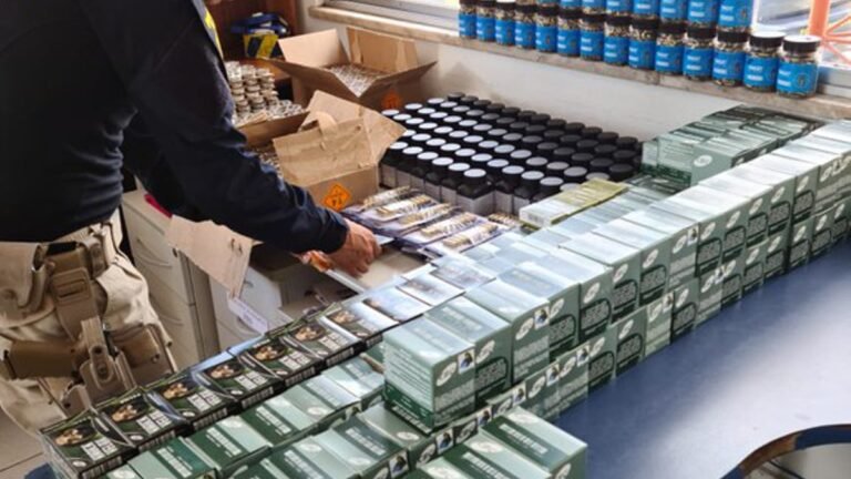 VEJA VÍDEO – PRF prende homem que transportava dinheiro e munições em fundo falso de caminhão