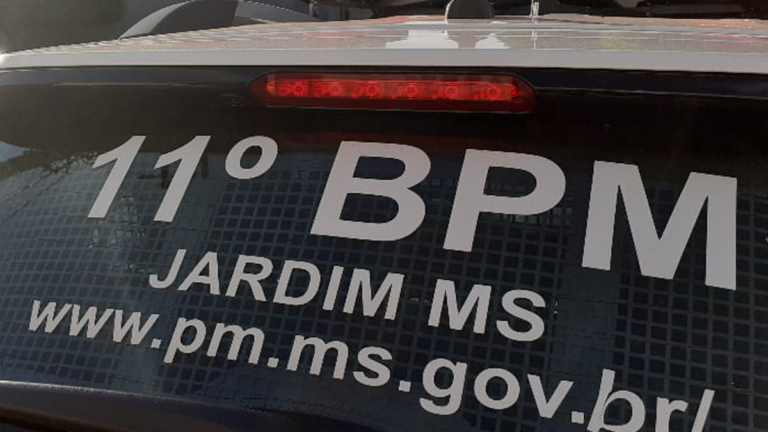 Polícia Militar apreende adolescente por Tráfico de Drogas em MS
