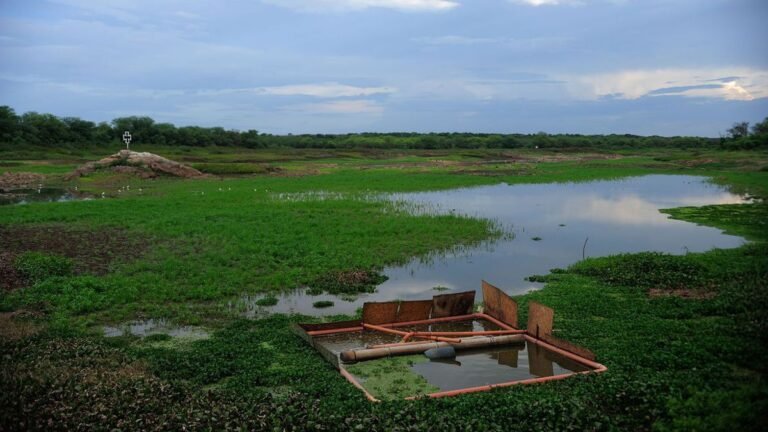 Crise hídrica leva à criação de sala de situação para buscar soluções