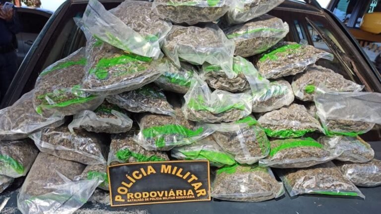 VEJA VÍDEO –  Polícia Militar Rodoviária faz apreensão de 17 quilos de Skunk