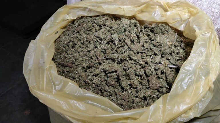 Ação da Polícia efetua a prisão de três pessoas por suspeita de tráfico de drogas