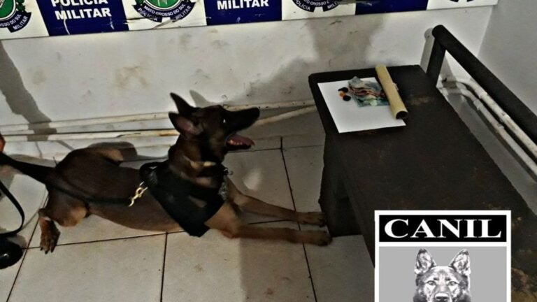 jovem de 18 anos é preso pela prática do crime de Tráfico de Drogas e Receptação.