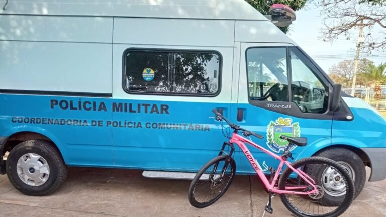 Polícia Militar prende autor de furto em flagrante em MS