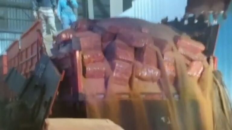 VEJA VÍDEO – Carga milionária de 12 milhões é descarregada pela Polícia Federal