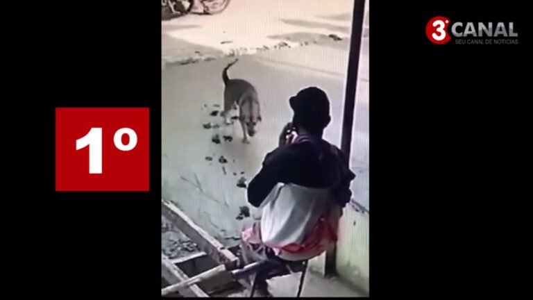 VÍDEO – Quatro vezes azar: Uma calçada que tudo dá errado e nuca termina!