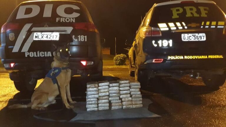 1,8 milhão em cocaína foram apreendidos pela PRF e Policia Civil