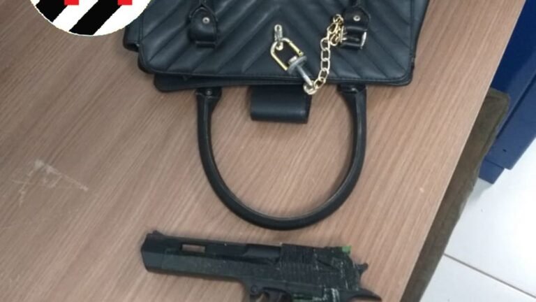 5 indivíduos presos pela PM por diversos crimes como furto roubo e violência doméstica