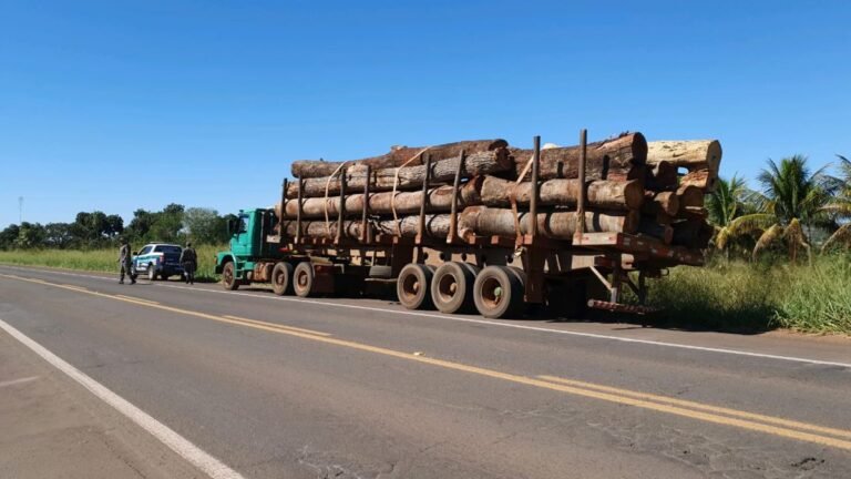 Empresa madeireira é multada em quase 9.000 por carga ilegal