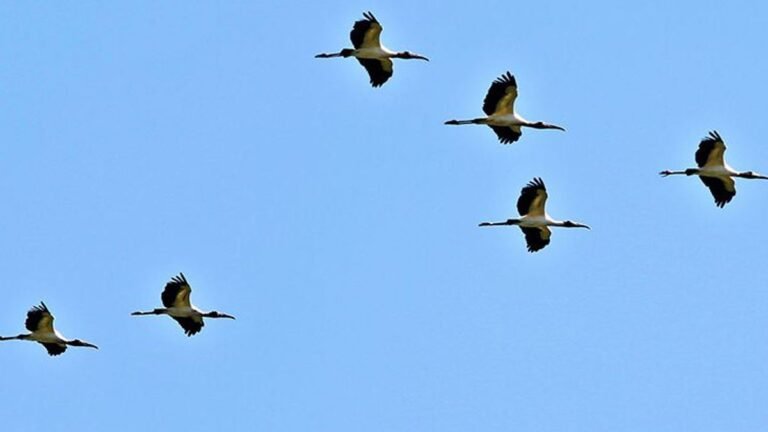 Previsão do tempo para esta segunda-feira 05/07 – DOURADOS