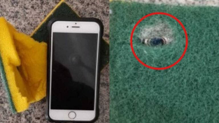 Servidor camuflava celular em bucha para filmar mulheres em banheiro, depois postar em site pornô