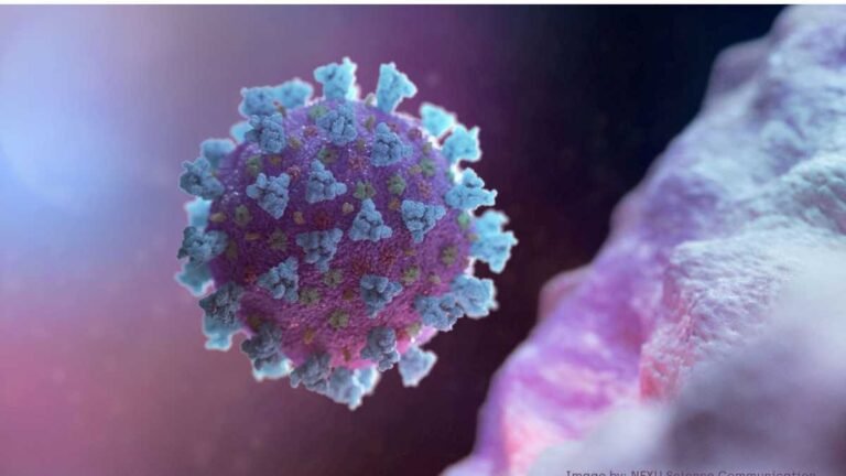 ALERTA – Já são quatro mortes pela variante Delta da covid-19 [ENTENDA]