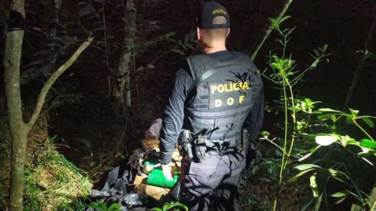 VEJA VÍDEO – Mais de 70 quilos de drogas encontrado em mata às margens de rodovia