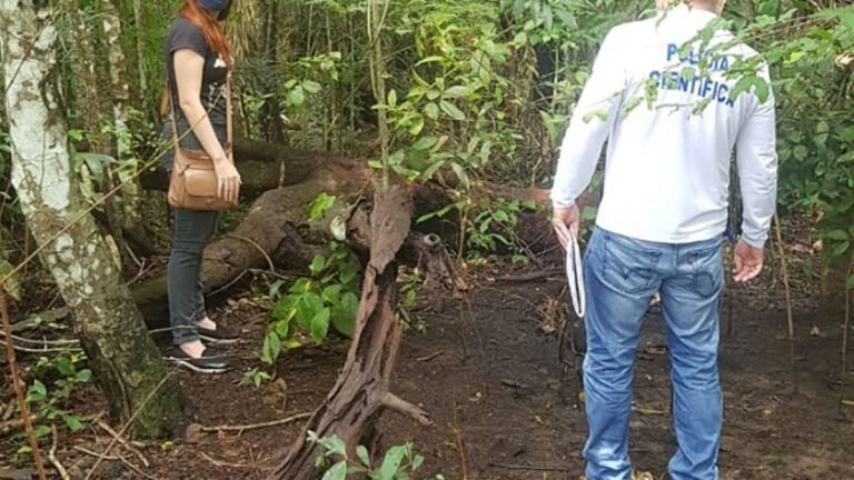 Cemitério do crime assusta moradores de MS após ossadas serem encontradas