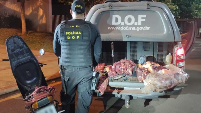 VEJA VÍDEO –  Policiais do DOF aprendem 65 quilos de carne bovina ilegal