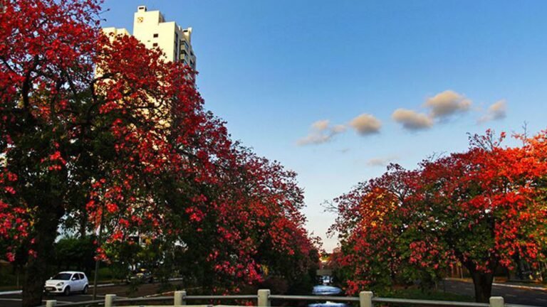 Previsão do tempo para este domingo 04/07 – DOURADOS