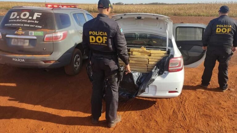Veículo que seguia para São Paulo com mais de 400 quilos de maconha foi apreendido pelo DOF