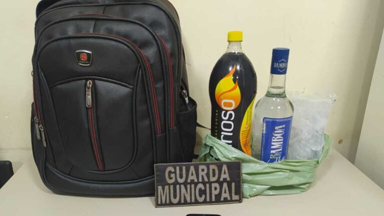 Praça do Canaã 3 – Guarda municipal recupera celular furtado em posse de 2 menores