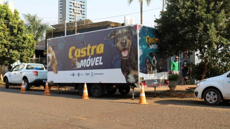 Ação da Polícia Civil CCZ e Ong Cão Feliz, proporciona bem-estar para cães resgatados