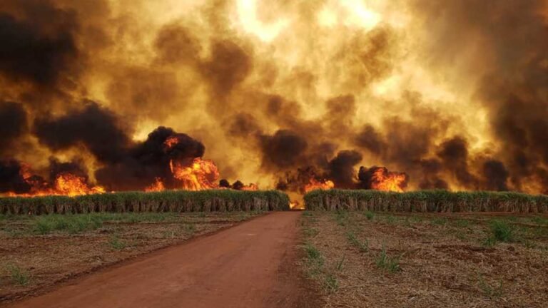 Parece filme, mas infelizmente não é! [VEJA O VIDEO]