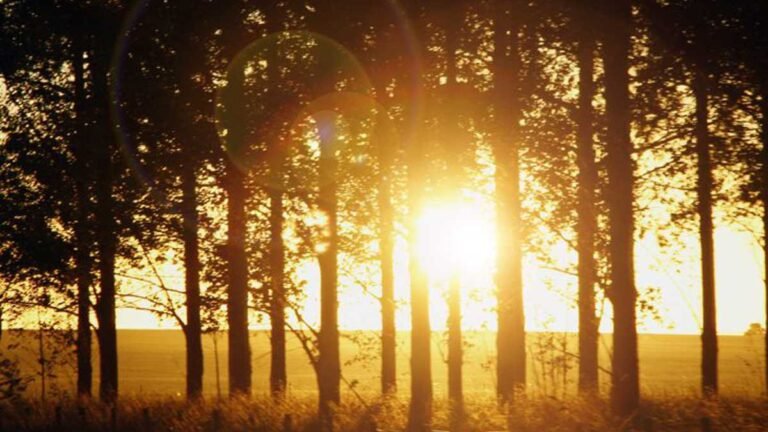 Previsão do tempo para esta segunda-feira 06/09 – DOURADOS