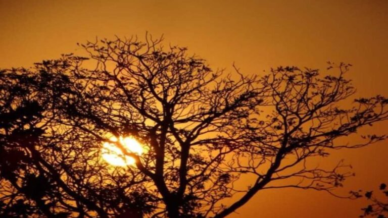 Previsão do tempo para esta terça-feira 24/08 – DOURADOS