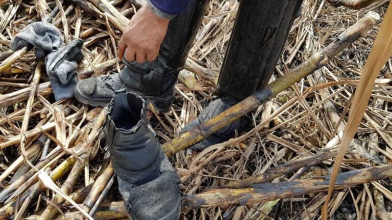 Comissão discute recomendações da ONU para combater trabalho escravo e tráfico de pessoas