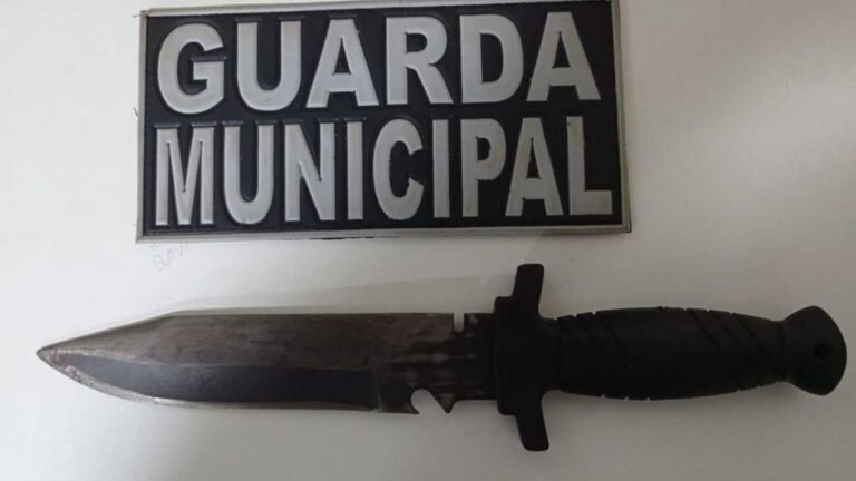 Guarda Municipal já prendeu 58 autores de violência doméstica em 2021