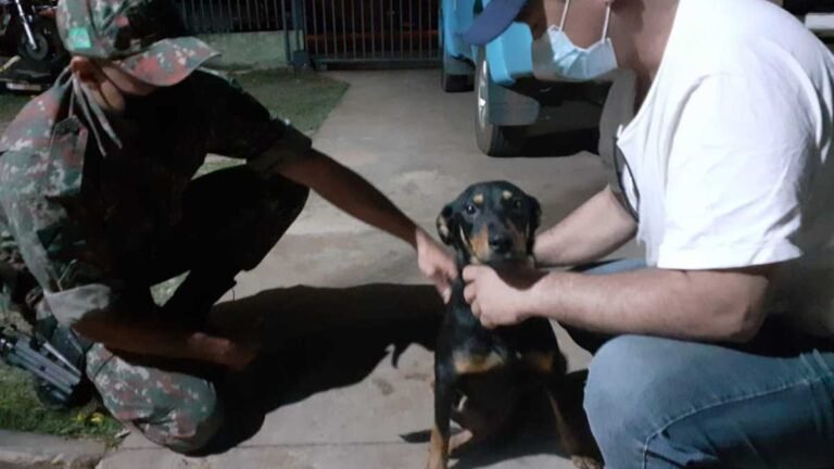 VÍDEO – Cachorro com paralisia é resgatado pela Policia Ambiental e estava sem alimento e água