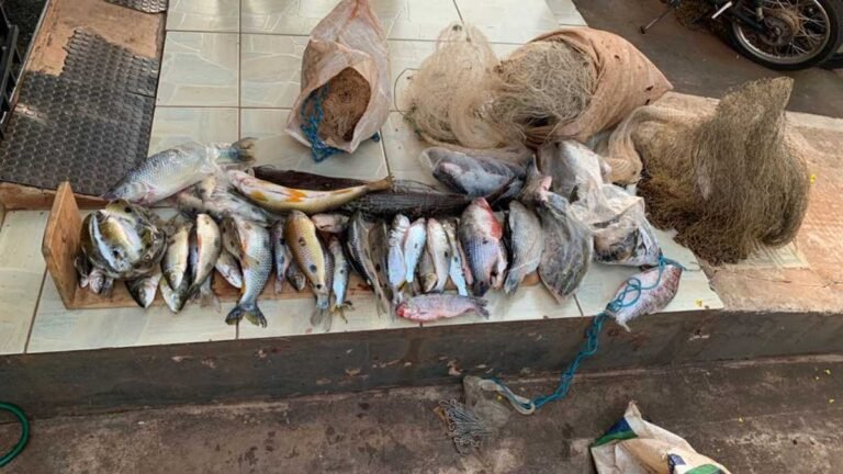 PMA de Dourados prende e autua em R$ 2 mil dono de rancho por pesca predatória em operação Hot Point