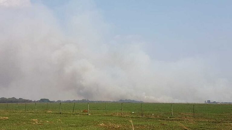 Veja os vídeos dos momentos após a queda do avião militar em Campo Grande
