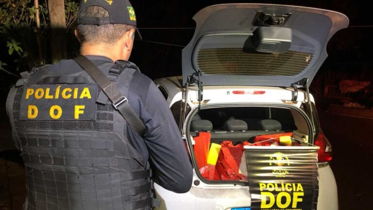 Mais de 670 quilos de drogas foram apreendidos pelo DOF em Douradina