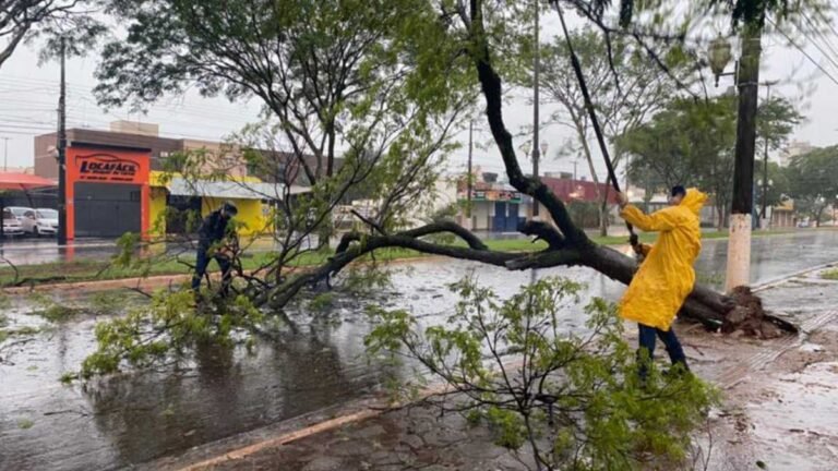 Defesa Civil atende ocorrências provocadas pela chuva em Dourados