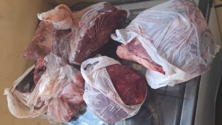 Jovem recém contratado, almoça em residência, no outro dia furta a casa levando varias carnes