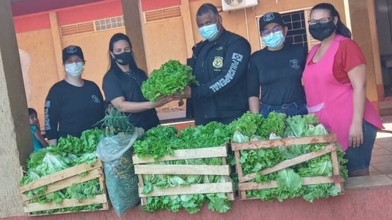 Hortaliças da PED beneficia cinco instituições sociais e filantrópicas de Dourados
